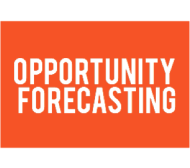 Sales Forecasting: One Size Fits Some